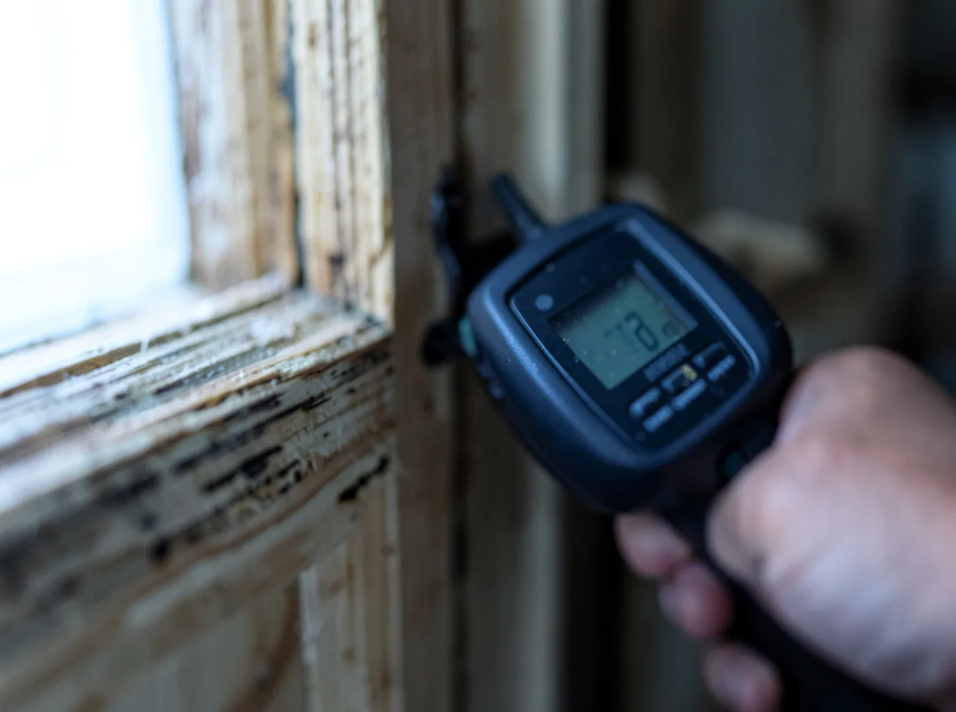 Moisture Inspection And Documentation in Gasburg, VA